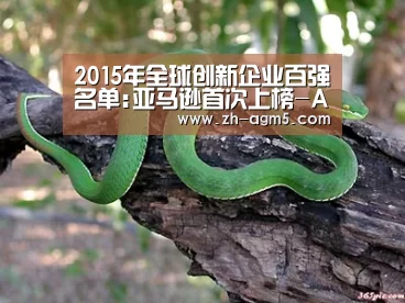 ag百家乐