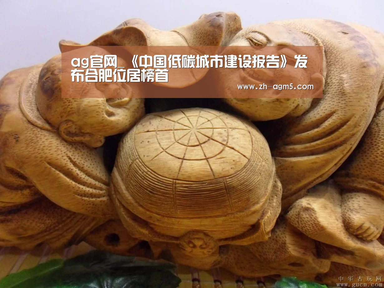 ag官网_《中国低碳城市建设报告》发布合肥位居榜首(图2) AG亚娱